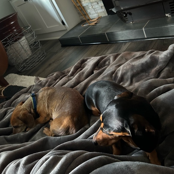 Meet your Posher, Lee! - Picture 5 of 7